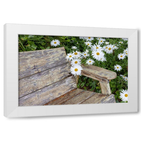 Usa-Oregon-Yachats Plantings White Modern Wood Framed Art Print by Looney, Hollice