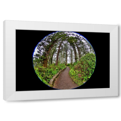 Usa-Oregon-Yachats Cape Perpetua White Modern Wood Framed Art Print by Looney, Hollice