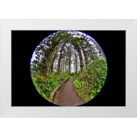 Usa-Oregon-Yachats Cape Perpetua White Modern Wood Framed Art Print by Looney, Hollice