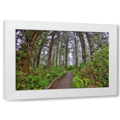 Usa-Oregon-Yachats Cape Perpetua White Modern Wood Framed Art Print by Looney, Hollice