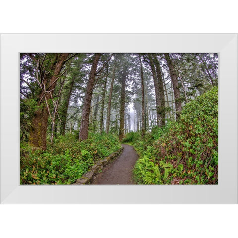 Usa-Oregon-Yachats Cape Perpetua White Modern Wood Framed Art Print by Looney, Hollice