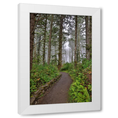 Usa-Oregon-Yachats Cape Perpetua White Modern Wood Framed Art Print by Looney, Hollice