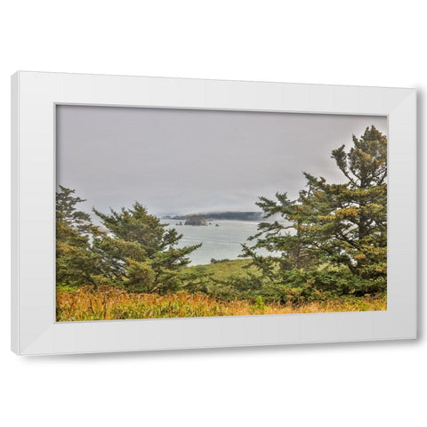 Usa-Oregon-Port Orford Cape Blanco Lighthouse-Coast Near Cape Blanco Lighthouse White Modern Wood Framed Art Print by Looney, Hollice