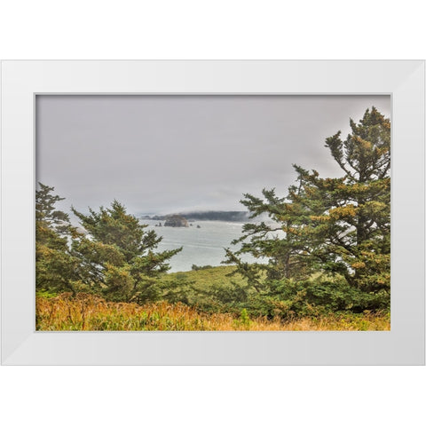 Usa-Oregon-Port Orford Cape Blanco Lighthouse-Coast Near Cape Blanco Lighthouse White Modern Wood Framed Art Print by Looney, Hollice