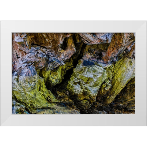 USA-Oregon-Bandon-Beach White Modern Wood Framed Art Print by Restuccia, Joe III