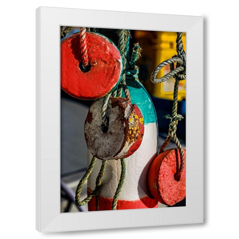 USA-Oregon-Charleston White Modern Wood Framed Art Print by Restuccia, Joe III