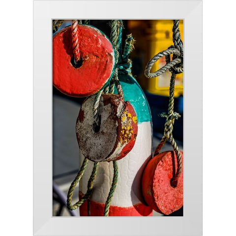 USA-Oregon-Charleston White Modern Wood Framed Art Print by Restuccia, Joe III