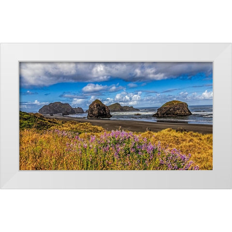 USA-Oregon-Cape Sebastian White Modern Wood Framed Art Print by Restuccia, Joe III