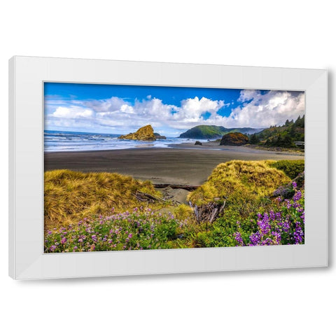 USA-Oregon-Cape Sebastian White Modern Wood Framed Art Print by Restuccia, Joe III