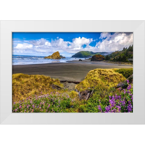 USA-Oregon-Cape Sebastian White Modern Wood Framed Art Print by Restuccia, Joe III