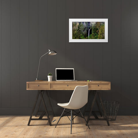 USA-Oregon-Silver Falls State Park-North Falls White Modern Wood Framed Art Print by Restuccia, Joe III