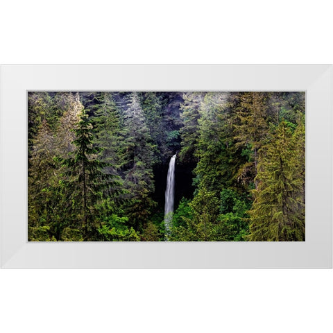 USA-Oregon-Silver Falls State Park-North Falls White Modern Wood Framed Art Print by Restuccia, Joe III