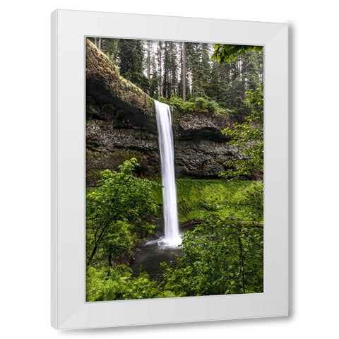 USA-Oregon-Silver Falls State Park-South Falls White Modern Wood Framed Art Print by Restuccia, Joe III