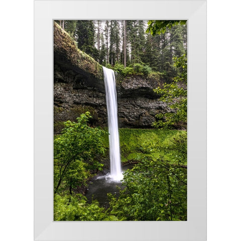 USA-Oregon-Silver Falls State Park-South Falls White Modern Wood Framed Art Print by Restuccia, Joe III