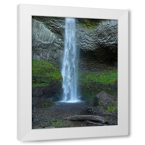 OR-Columbia River Gorge National Scenic Area-Latourell Falls White Modern Wood Framed Art Print by Wild, Jamie and Judy
