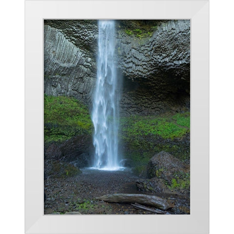 OR-Columbia River Gorge National Scenic Area-Latourell Falls White Modern Wood Framed Art Print by Wild, Jamie and Judy
