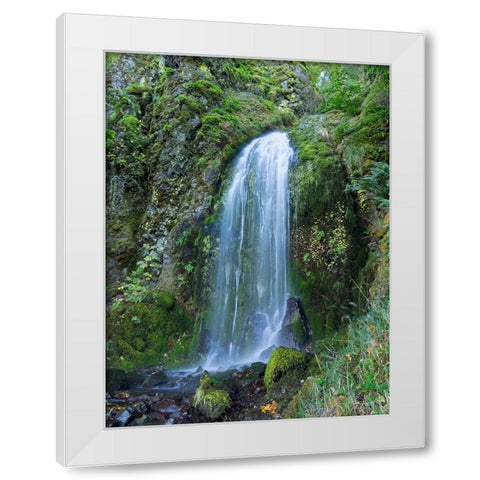 Oregon-Columbia River Gorge National Scenic Area-Lancaster Falls White Modern Wood Framed Art Print by Wild, Jamie and Judy