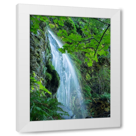Oregon-Columbia River Gorge National Scenic Area-Lancaster Falls White Modern Wood Framed Art Print by Wild, Jamie and Judy
