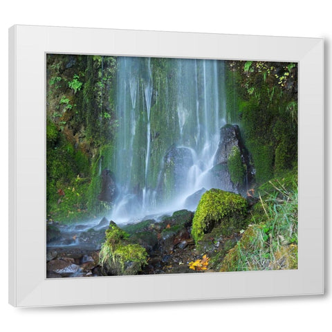 Oregon-Columbia River Gorge National Scenic Area-Lancaster Falls White Modern Wood Framed Art Print by Wild, Jamie and Judy
