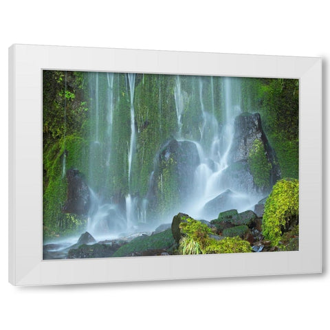 Oregon-Columbia River Gorge National Scenic Area-Lancaster Falls White Modern Wood Framed Art Print by Wild, Jamie and Judy