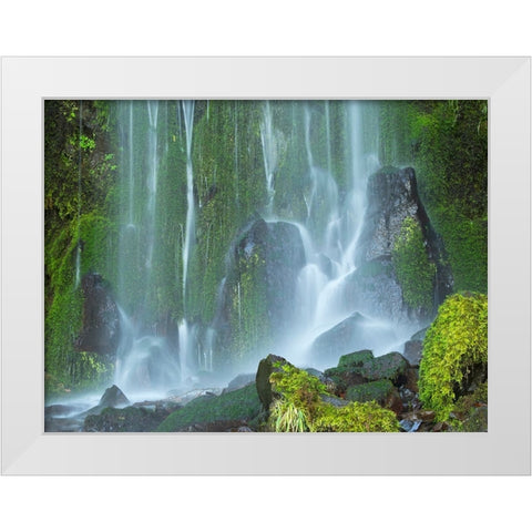 Oregon-Columbia River Gorge National Scenic Area-Lancaster Falls White Modern Wood Framed Art Print by Wild, Jamie and Judy