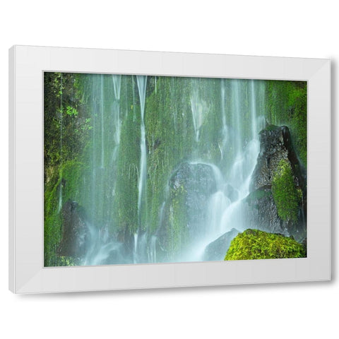 Oregon-Columbia River Gorge National Scenic Area-Lancaster Falls White Modern Wood Framed Art Print by Wild, Jamie and Judy