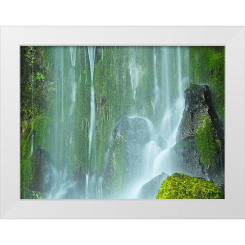 Oregon-Columbia River Gorge National Scenic Area-Lancaster Falls White Modern Wood Framed Art Print by Wild, Jamie and Judy
