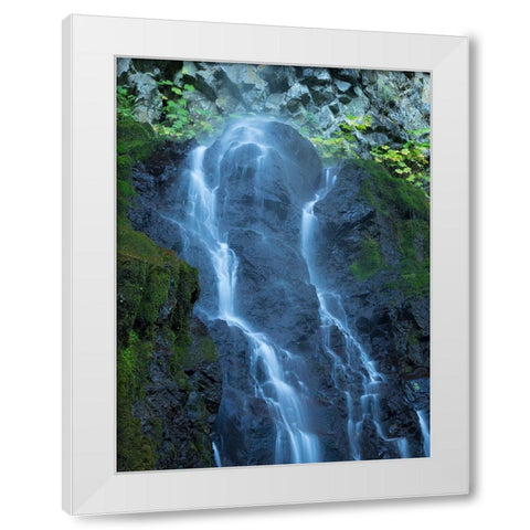 Oregon-Columbia River Gorge National Scenic Area-Cabin Creek Falls White Modern Wood Framed Art Print by Wild, Jamie and Judy