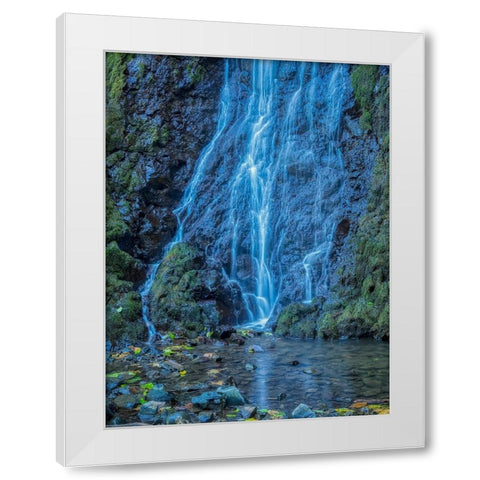 Oregon-Columbia River Gorge National Scenic Area-Cabin Creek Falls White Modern Wood Framed Art Print by Wild, Jamie and Judy