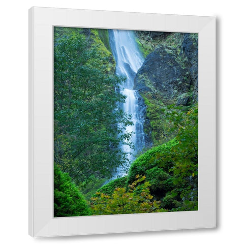 Oregon-Columbia River Gorge National Scenic Area-Starvation Creek Falls White Modern Wood Framed Art Print by Wild, Jamie and Judy