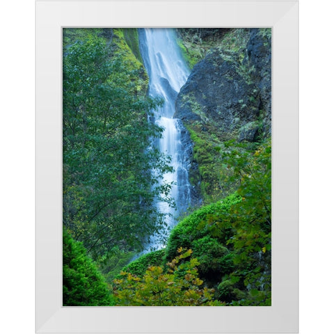 Oregon-Columbia River Gorge National Scenic Area-Starvation Creek Falls White Modern Wood Framed Art Print by Wild, Jamie and Judy