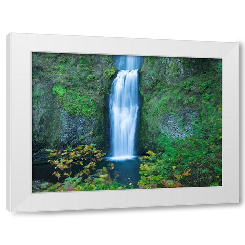 Oregon-Columbia River Gorge National Scenic Area-Multnomah Falls-lower White Modern Wood Framed Art Print by Wild, Jamie and Judy
