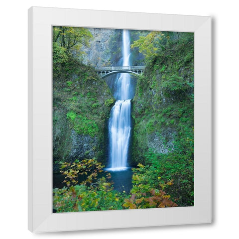 Oregon-Columbia River Gorge National Scenic Area-Multnomah Falls White Modern Wood Framed Art Print by Wild, Jamie and Judy