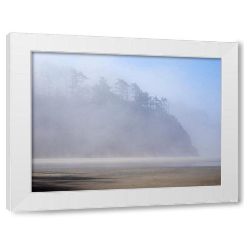 Oregon-Hug Point Morning fog White Modern Wood Framed Art Print by Wild, Jamie and Judy