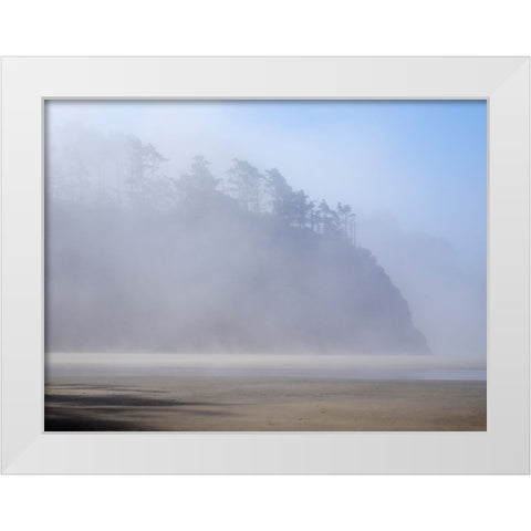 Oregon-Hug Point Morning fog White Modern Wood Framed Art Print by Wild, Jamie and Judy