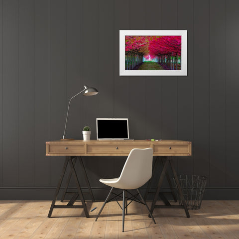 Oregon-Forest Grove A grove of trees in full autumn red White Modern Wood Framed Art Print by Duval, Richard