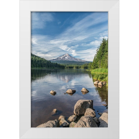 Oregon-Mt Hood National Forest Trillium Lake and Mt Hood White Modern Wood Framed Art Print by Tilley, Rob