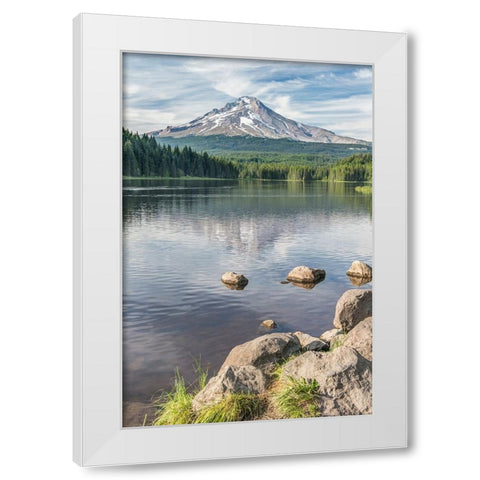 Oregon-Mt Hood National Forest Trillium Lake and Mt Hood White Modern Wood Framed Art Print by Tilley, Rob