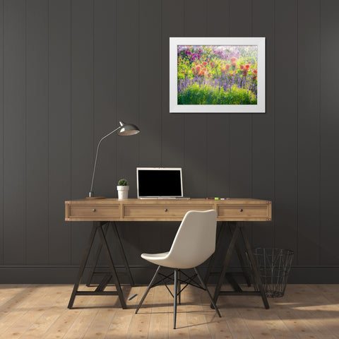 Oregon-Canby-Swam Island Dahlias-water coming down on flowers White Modern Wood Framed Art Print by Gulin, Sylvia