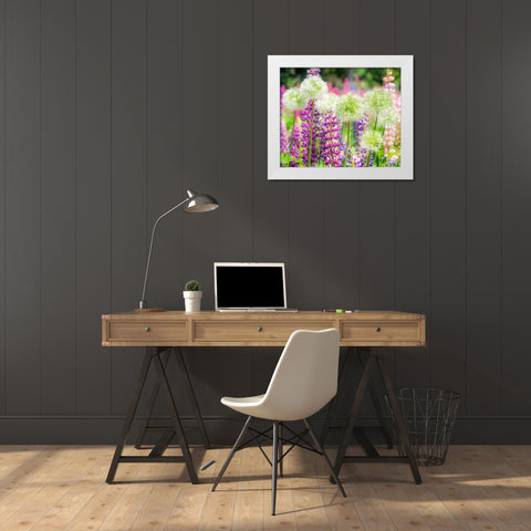 Oregon-Salem-colorful garden with Russell Lupine and Allium in full bloom White Modern Wood Framed Art Print by Gulin, Sylvia