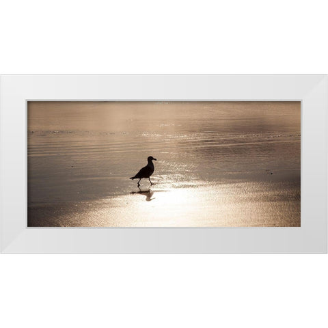 Oregon Cannon Beach with seagull reflection in the sand at sunset White Modern Wood Framed Art Print by Gulin, Sylvia