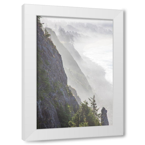 Oregon-Oswald West State Park and cliff bluffs looking towards Manzanita with lifting fog White Modern Wood Framed Art Print by Gulin, Sylvia