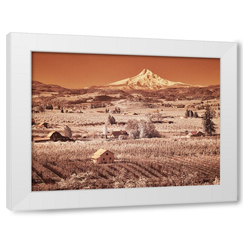USA-Oregon-Columbia Gorge Infrared of spring orchards in bloom and Mount Hood White Modern Wood Framed Art Print by Eggers, Terry