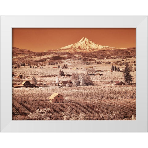 USA-Oregon-Columbia Gorge Infrared of spring orchards in bloom and Mount Hood White Modern Wood Framed Art Print by Eggers, Terry
