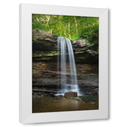 Cucumber Falls-Ohiopyle State Park-Pennsylvania White Modern Wood Framed Art Print by Majchrowicz, Alan