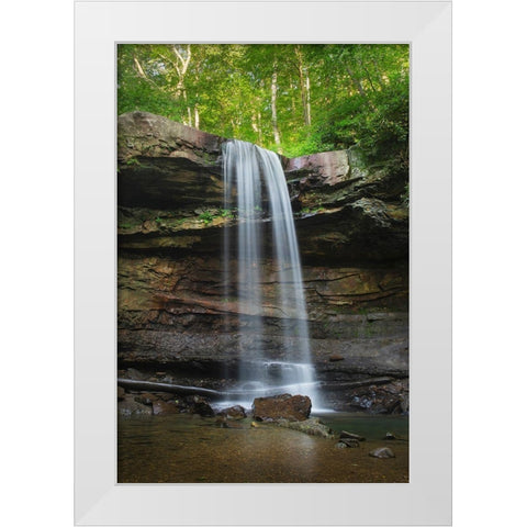 Cucumber Falls-Ohiopyle State Park-Pennsylvania White Modern Wood Framed Art Print by Majchrowicz, Alan