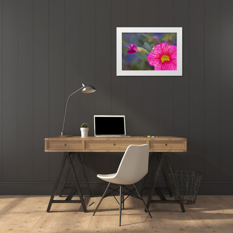 PA, Philadelphia Flower at the Nature Center White Modern Wood Framed Art Print by OBrien, Jay
