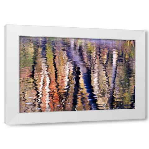 PA, Philadelphia Autumn trees by Pennypack Creek White Modern Wood Framed Art Print by OBrien, Jay