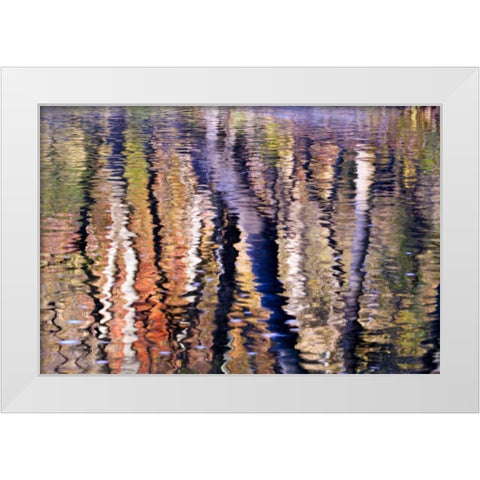 PA, Philadelphia Autumn trees by Pennypack Creek White Modern Wood Framed Art Print by OBrien, Jay