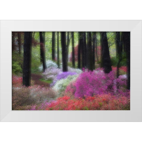 GA, Impressionistic trees and flowering bushes White Modern Wood Framed Art Print by Rotenberg, Nancy
